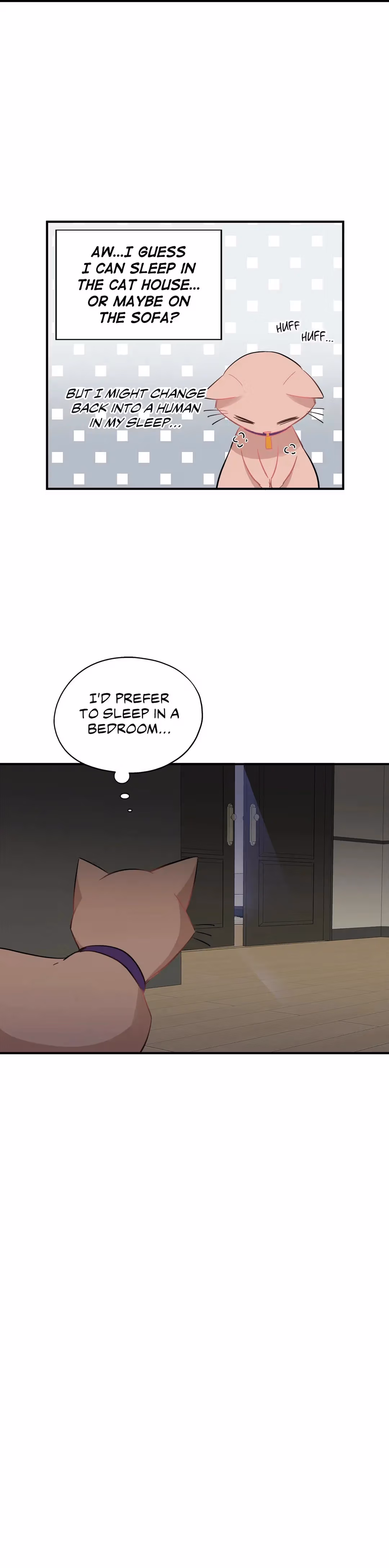 Just for a Meowment Chapter 35 page 3 - 