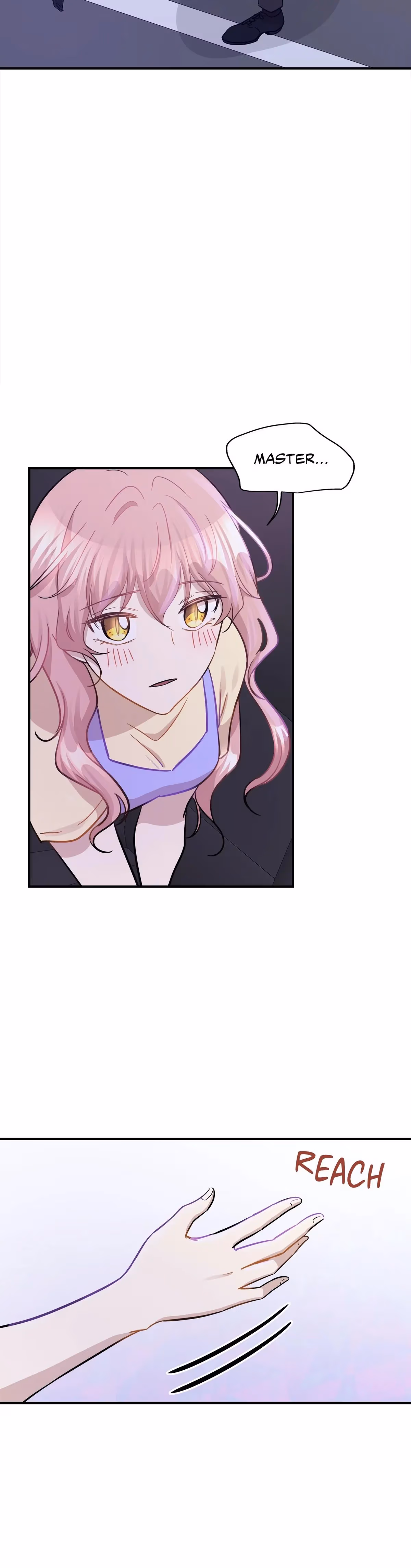 Just for a Meowment Chapter 41 page 2 - 
