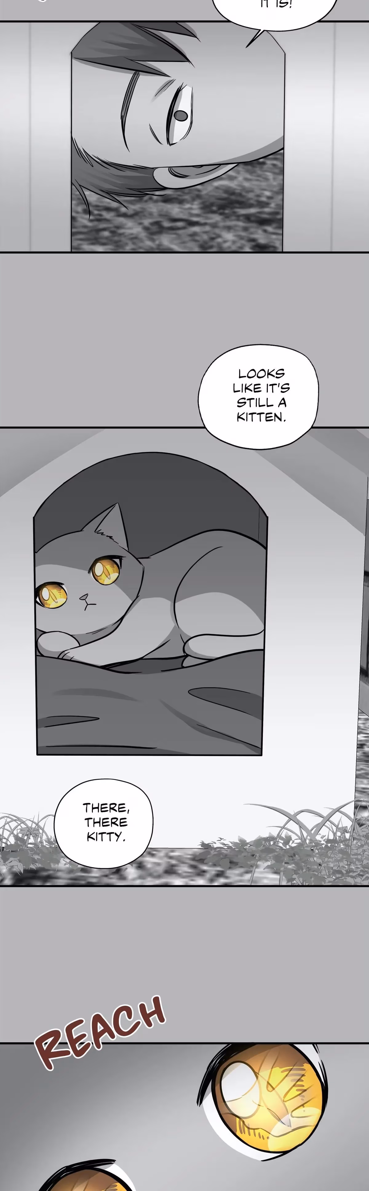 Just for a Meowment Chapter 41 page 17 - 