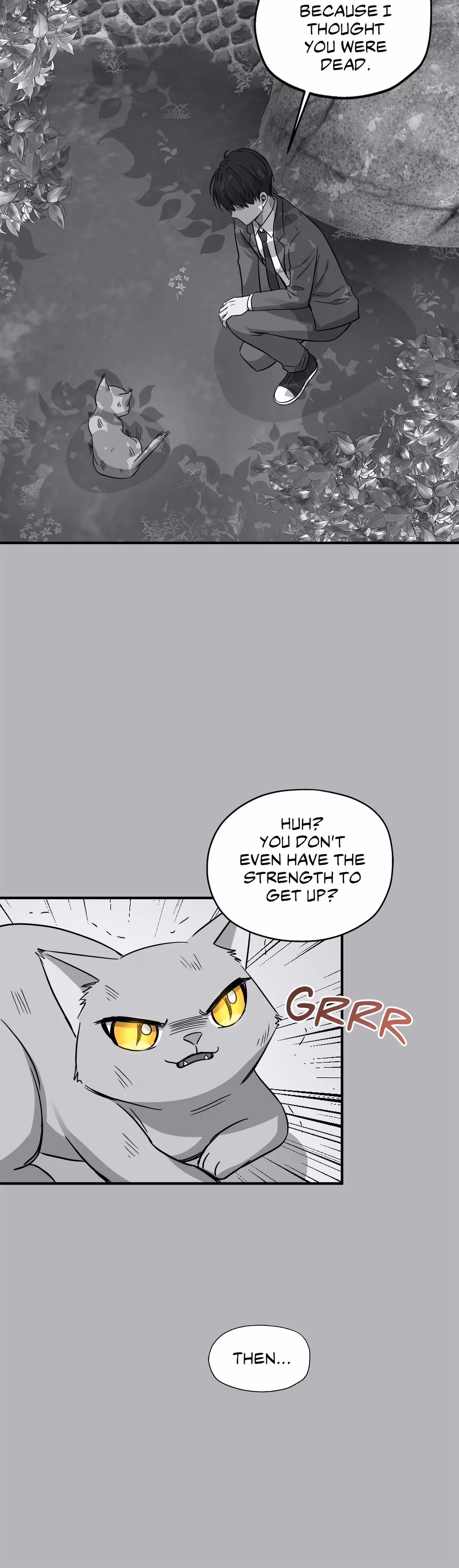 Just for a Meowment Chapter 41 page 9 - 