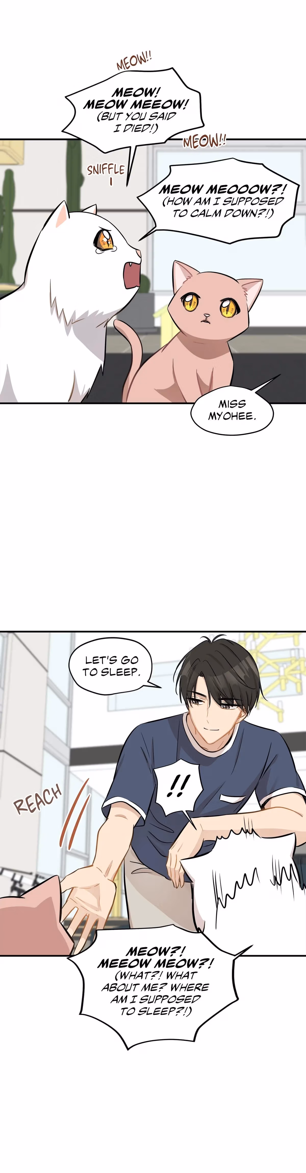 Just for a Meowment Chapter 44 page 13 - 