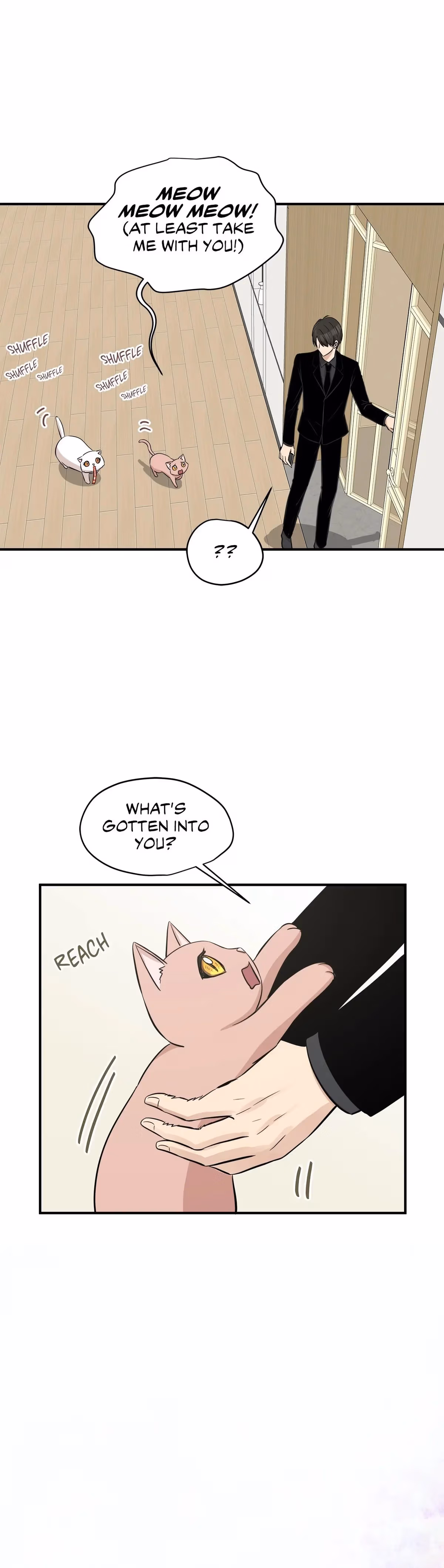 Just for a Meowment Chapter 44 page 30 - 