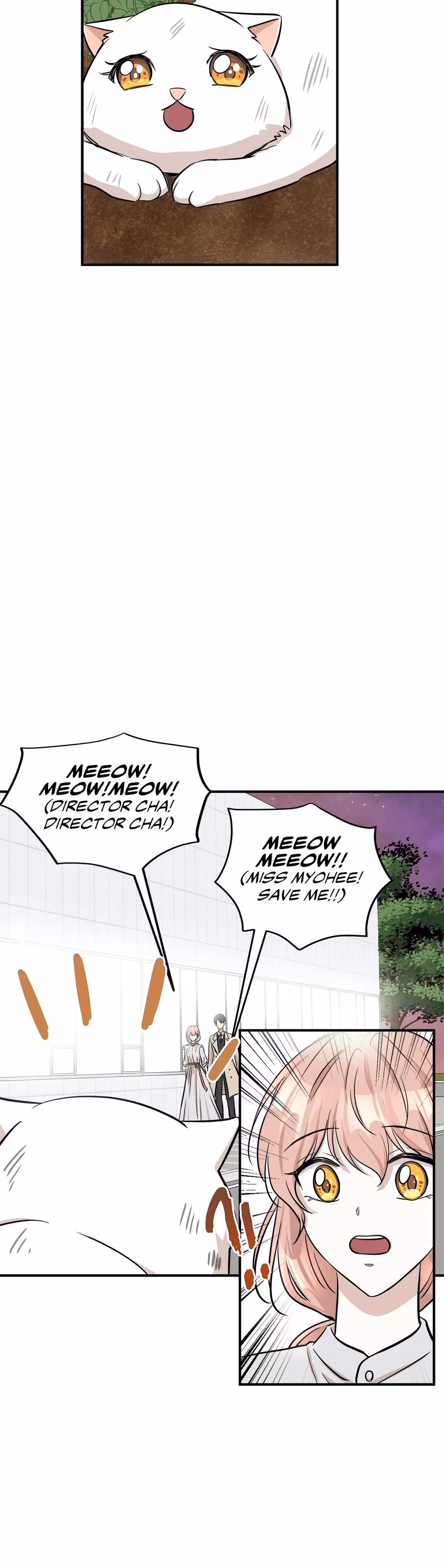 Just for a Meowment Chapter 44 page 4 - 