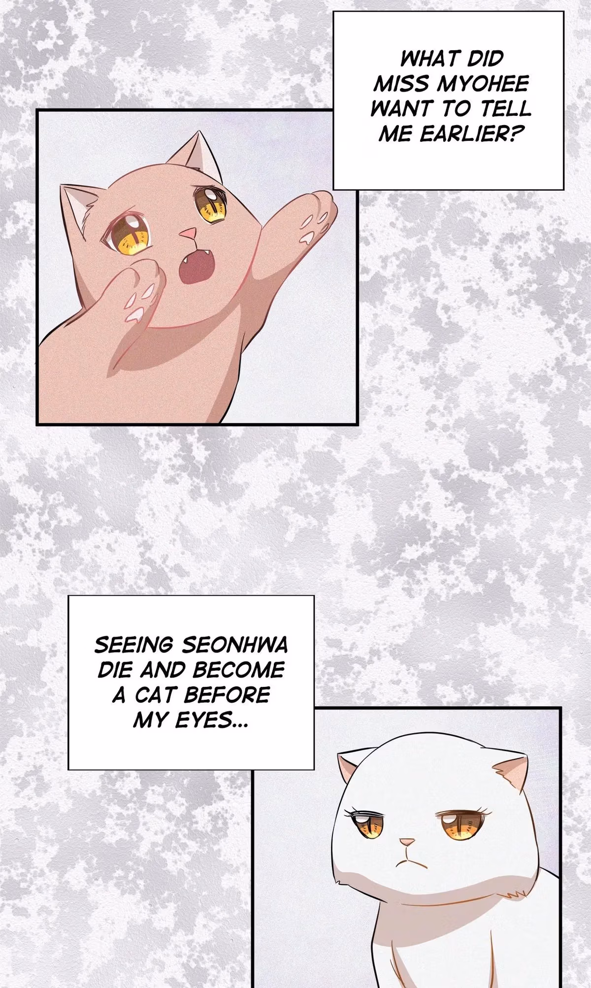 Just for a Meowment Chapter 45 page 25 - 