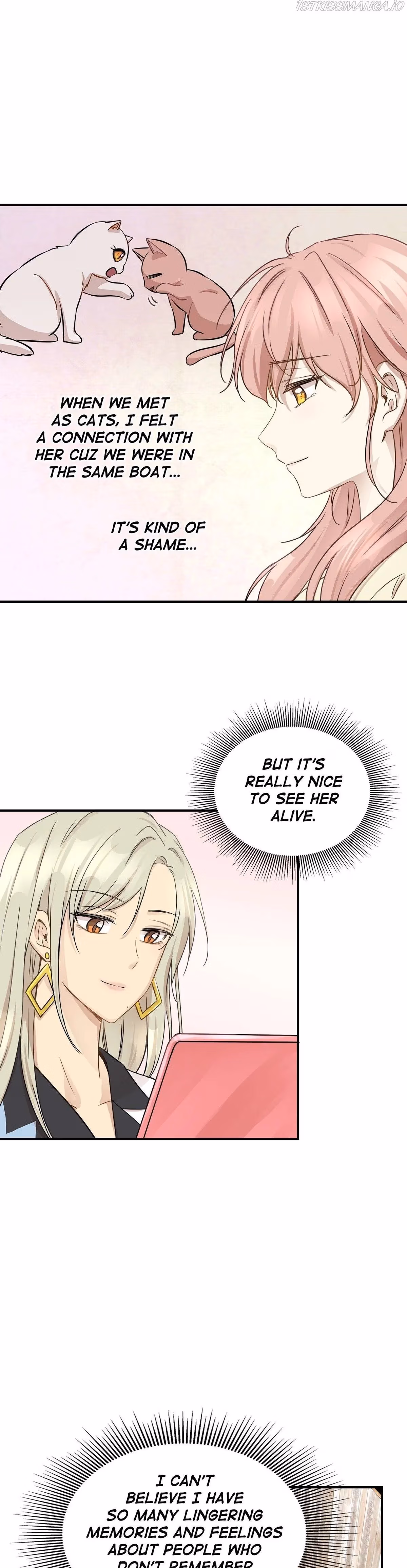 Just for a Meowment Chapter 53 page 17 - 