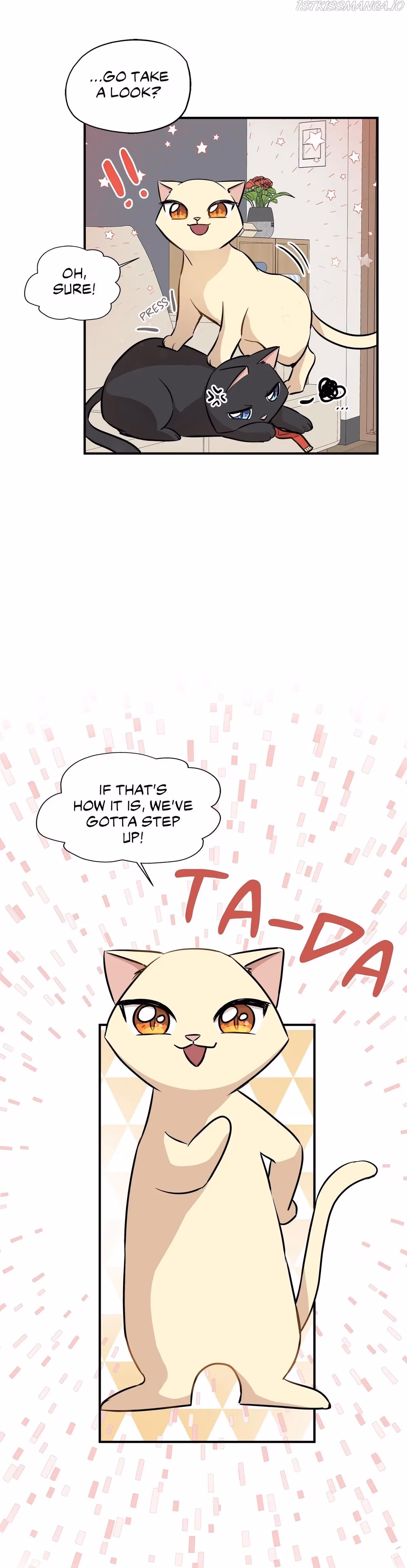 Just for a Meowment Chapter 58 page 20 - 