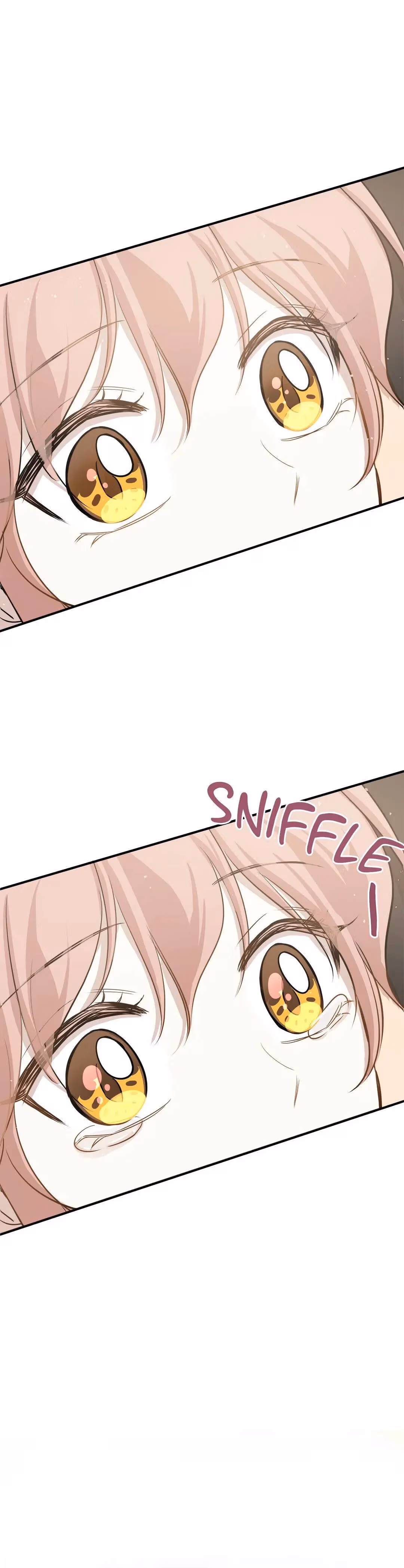 Just for a Meowment Chapter 63 page 13 - 