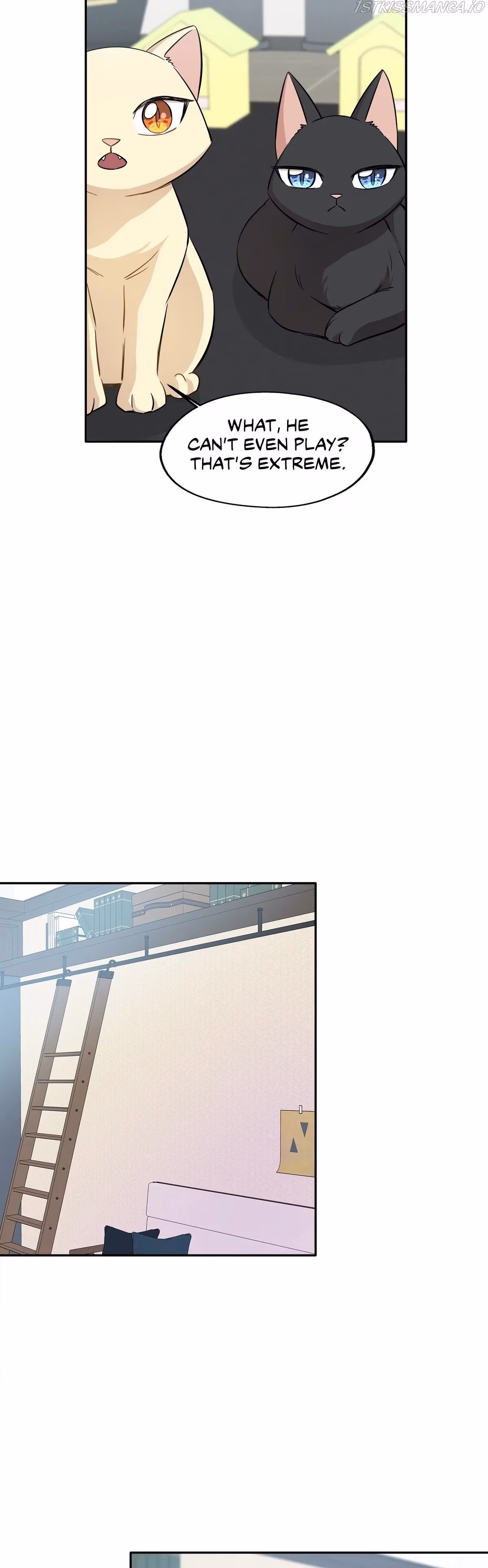 Just for a Meowment Chapter 69 page 6 - 
