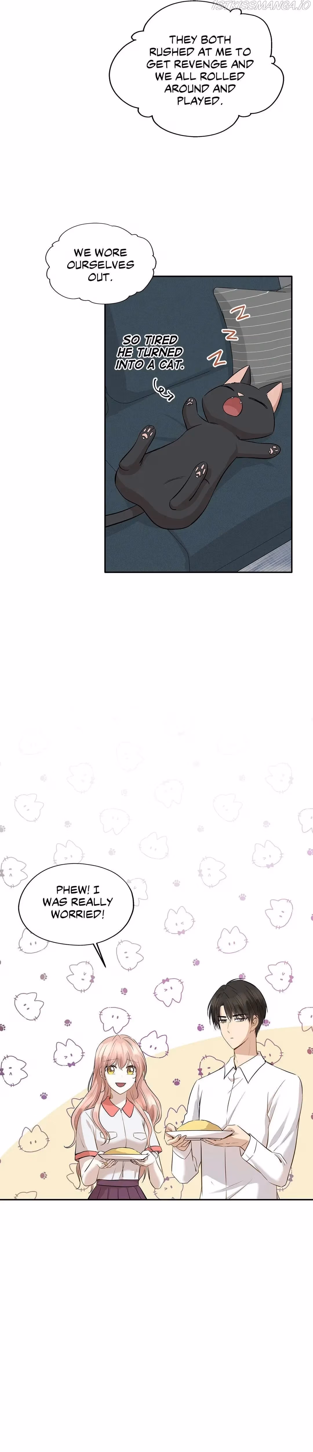 Just for a Meowment Chapter 70 page 4 - 