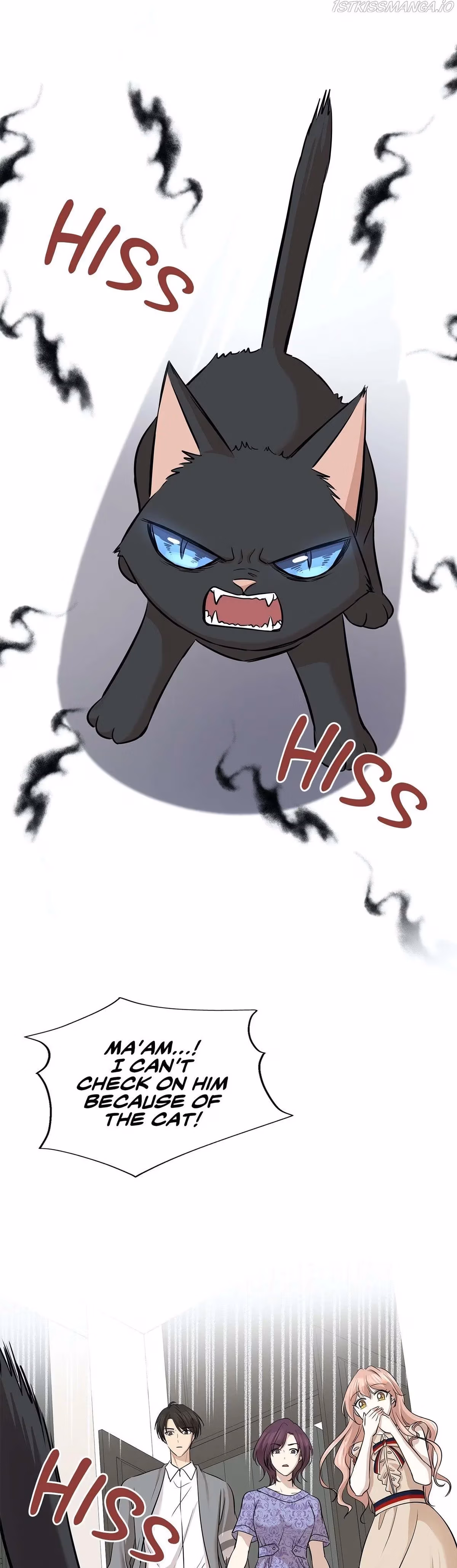 Just for a Meowment Chapter 73 page 20 - 