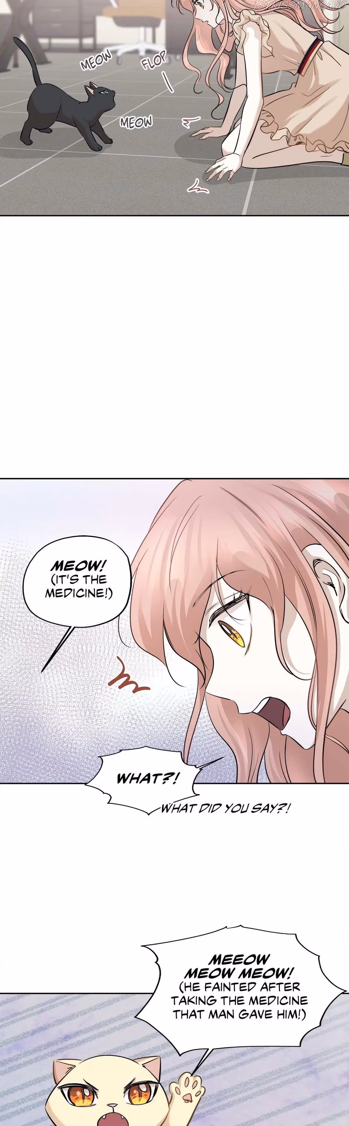 Just for a Meowment Chapter 73 page 24 - 