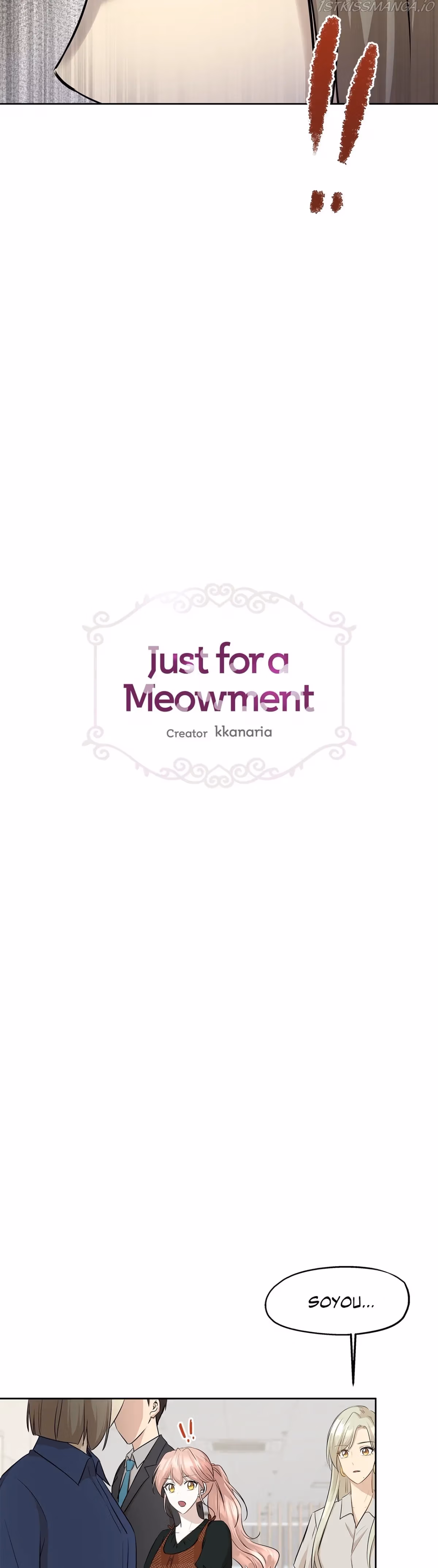 Just for a Meowment Chapter 78 page 2 - 
