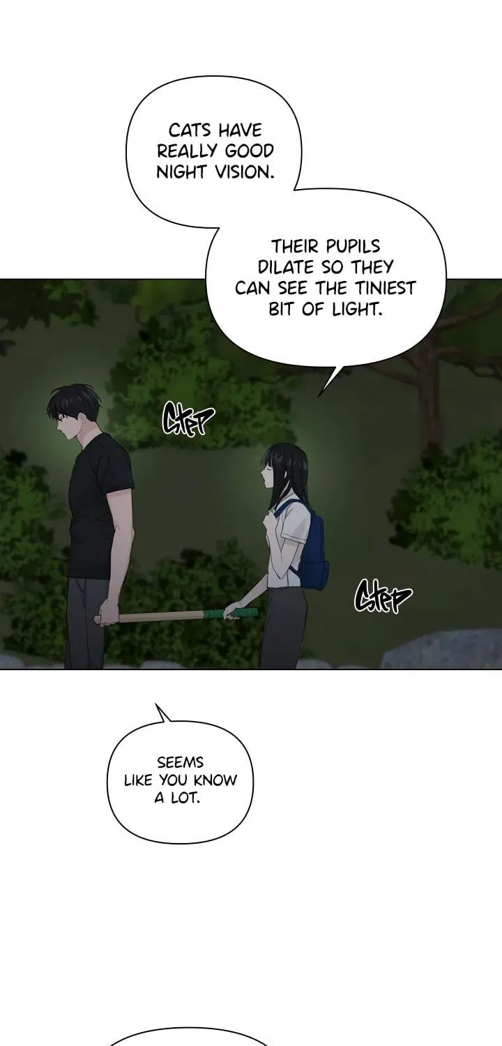 Read Just Twilight chapter 3 image 82 on Lezhin