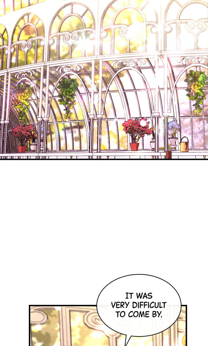 Justice for the Villainess Chapter 91 page 46 - 