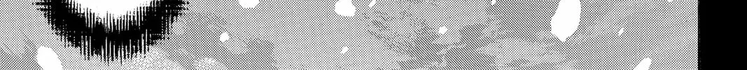 Read Kaffka Fu chapter 136 image 33 on Lezhin