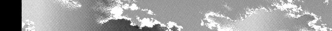 Read Kaffka Fu chapter 138 image 13 on Lezhin