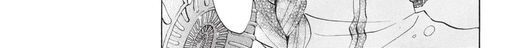 Read Kamisama Kiss chapter 70 image 41 on Lezhin