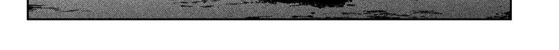 Read Kanojo, Okarishimasu chapter 156 image 20 on Lezhin