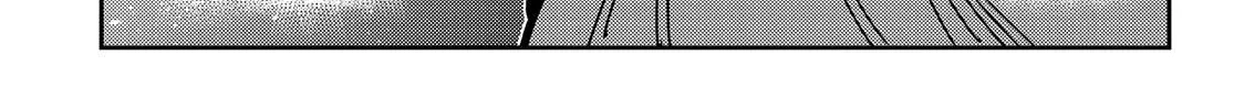 Read Kanojo, Okarishimasu chapter 162 image 22 on Lezhin