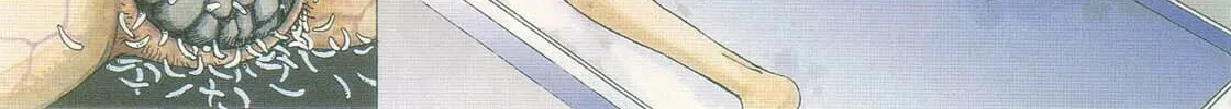 Read Kasutoro Shiki chapter 7 image 7 on Lezhin