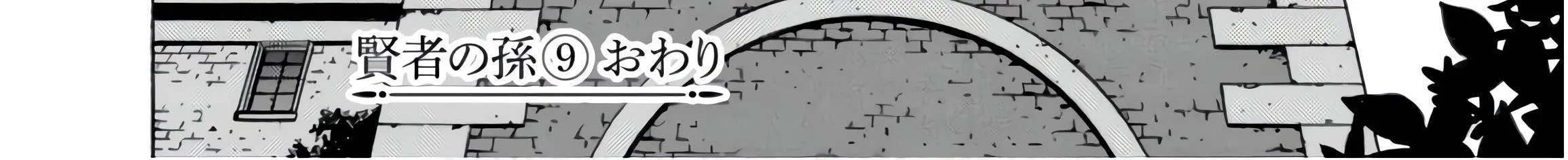 Read Kenja no Mago chapter 30.5 image 30 on Lezhin