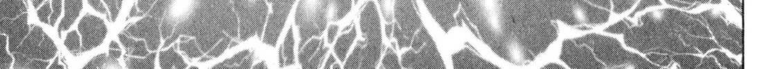 Read Kenka Ramen chapter 143 image 25 on Lezhin