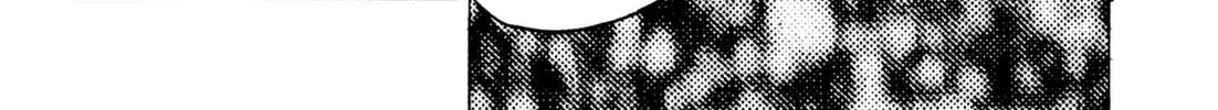 Read Kenka Ramen chapter 48 image 27 on Lezhin