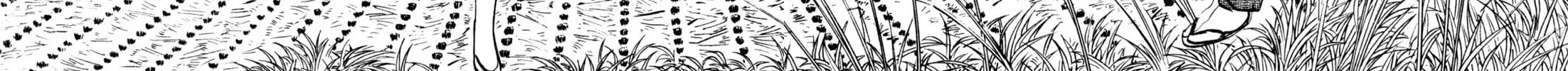 Read Kenka Ramen chapter 76 image 9 on Lezhin