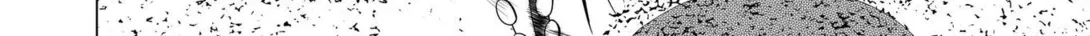 Read Kenshin chapter 23.1 image 19 on Lezhin