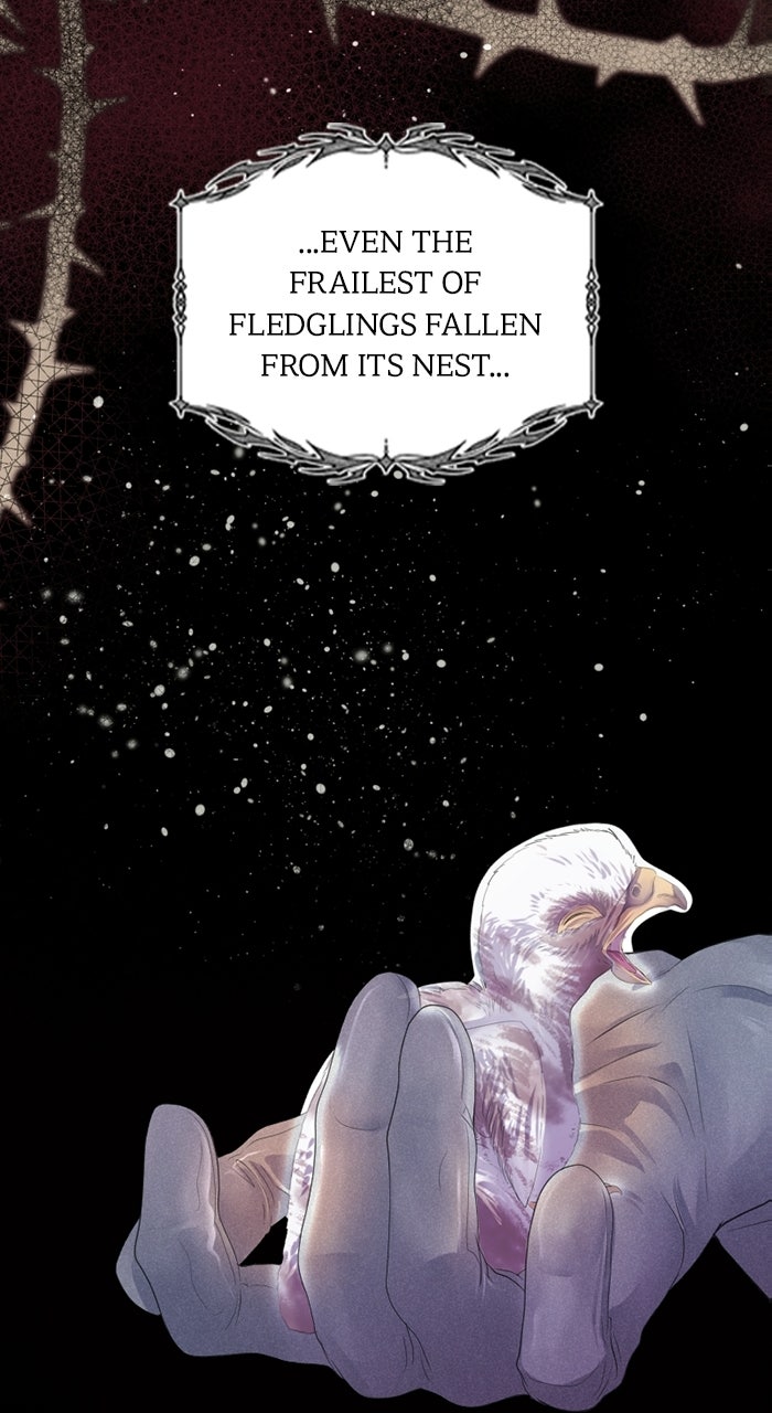 Read KESTREL chapter 6 image 124 on Lezhin
