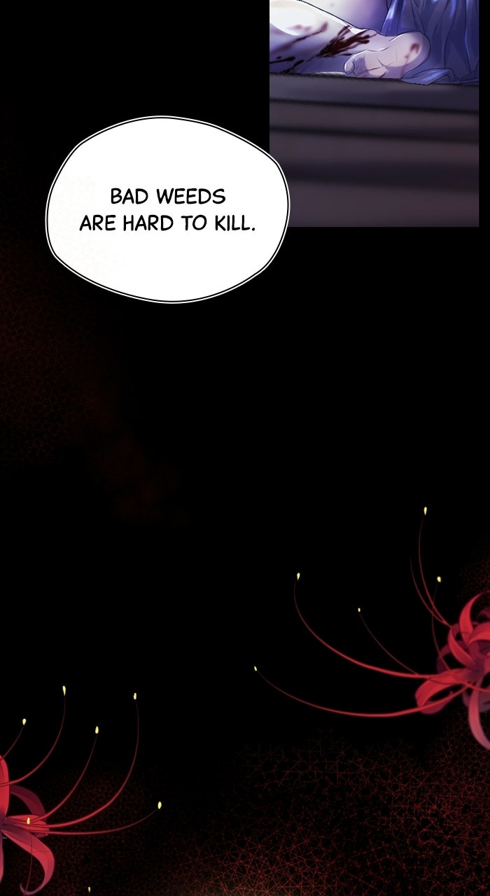 Read KESTREL chapter 6 image 148 on Lezhin