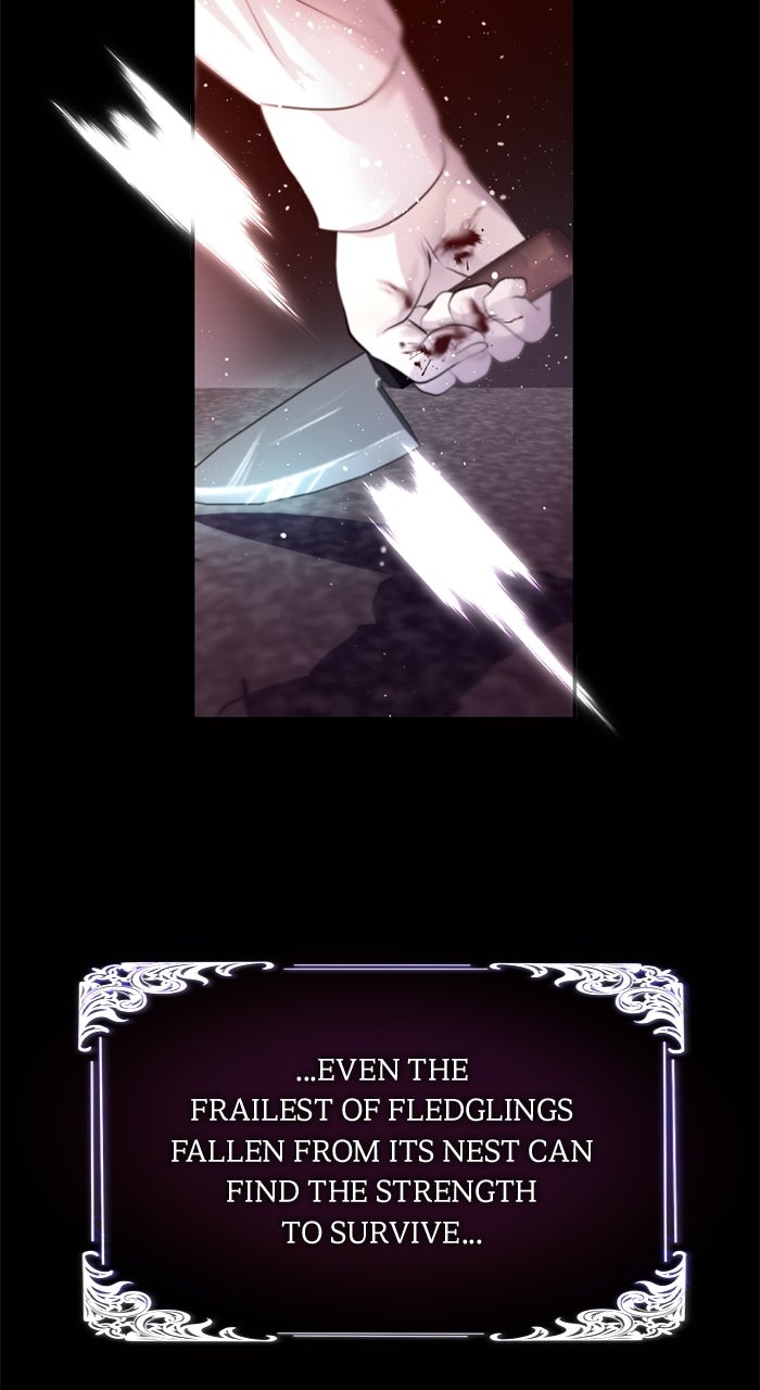 Read KESTREL chapter 8 image 4 on Lezhin