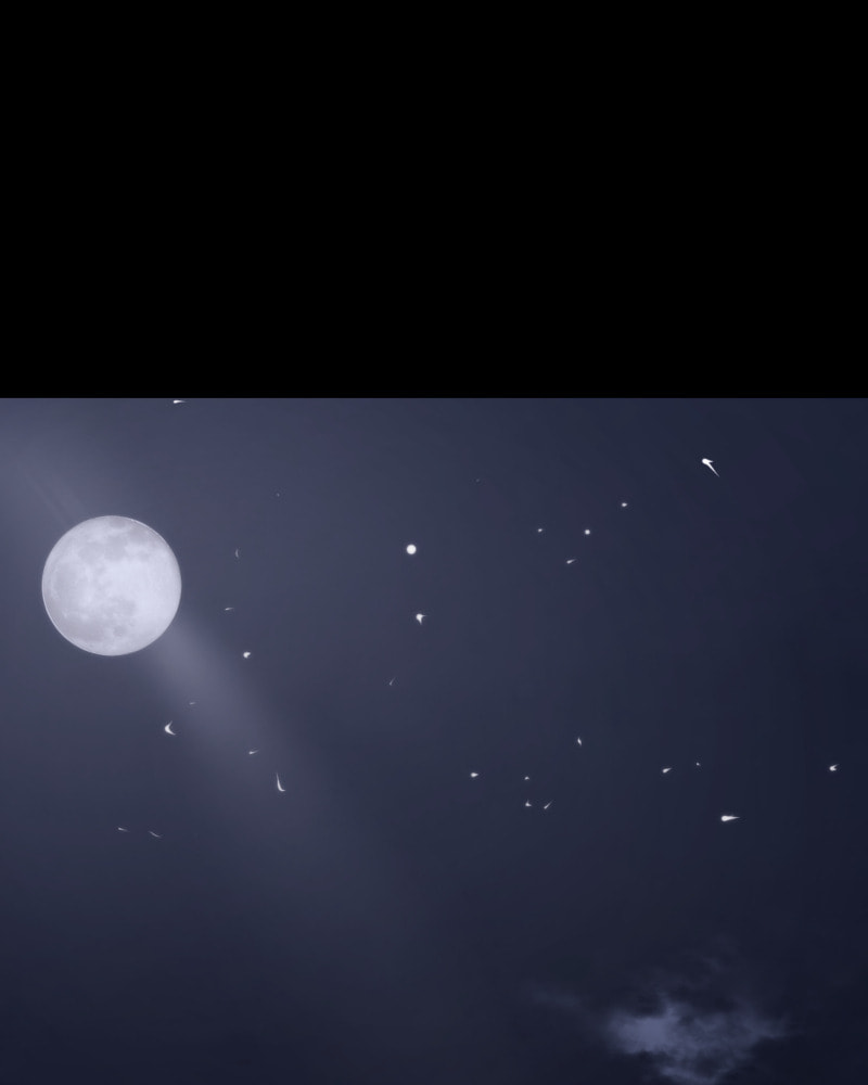 Read Key chapter 1 image 60 on Lezhin
