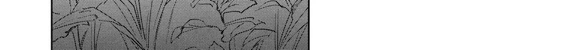 Read Kijin Gentoushou chapter 17.3 image 5 on Lezhin