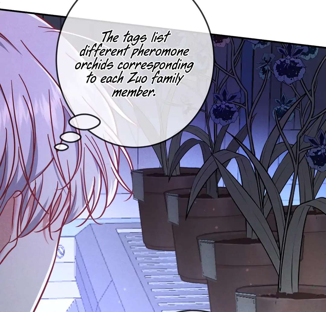 Read Kill My Love chapter 54.2 image 24 on Lezhin