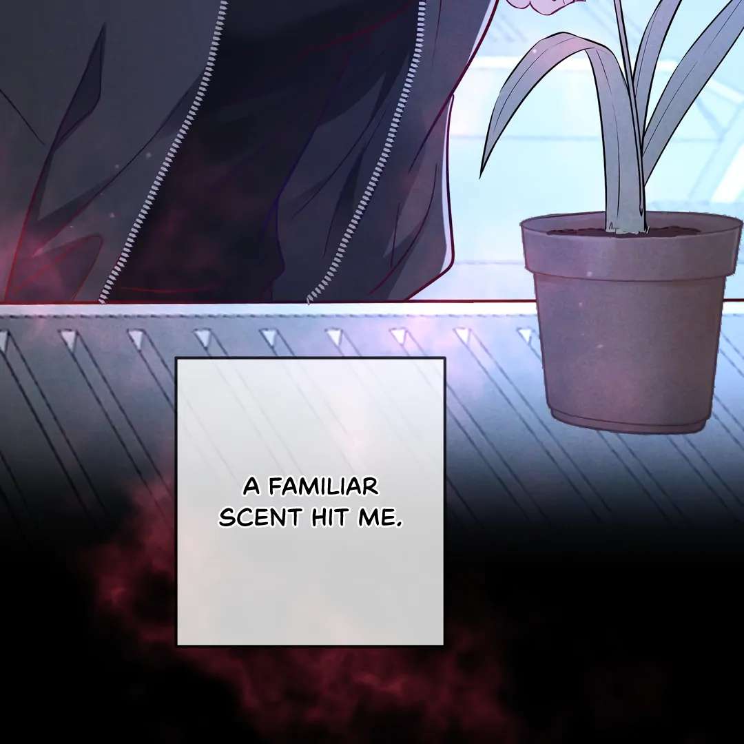 Read Kill My Love chapter 54.2 image 37 on Lezhin