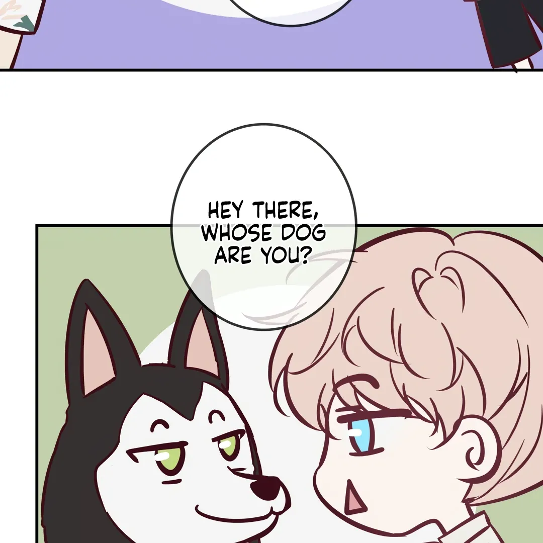 Read Kill My Love chapter 68.5 image 5 on Lezhin
