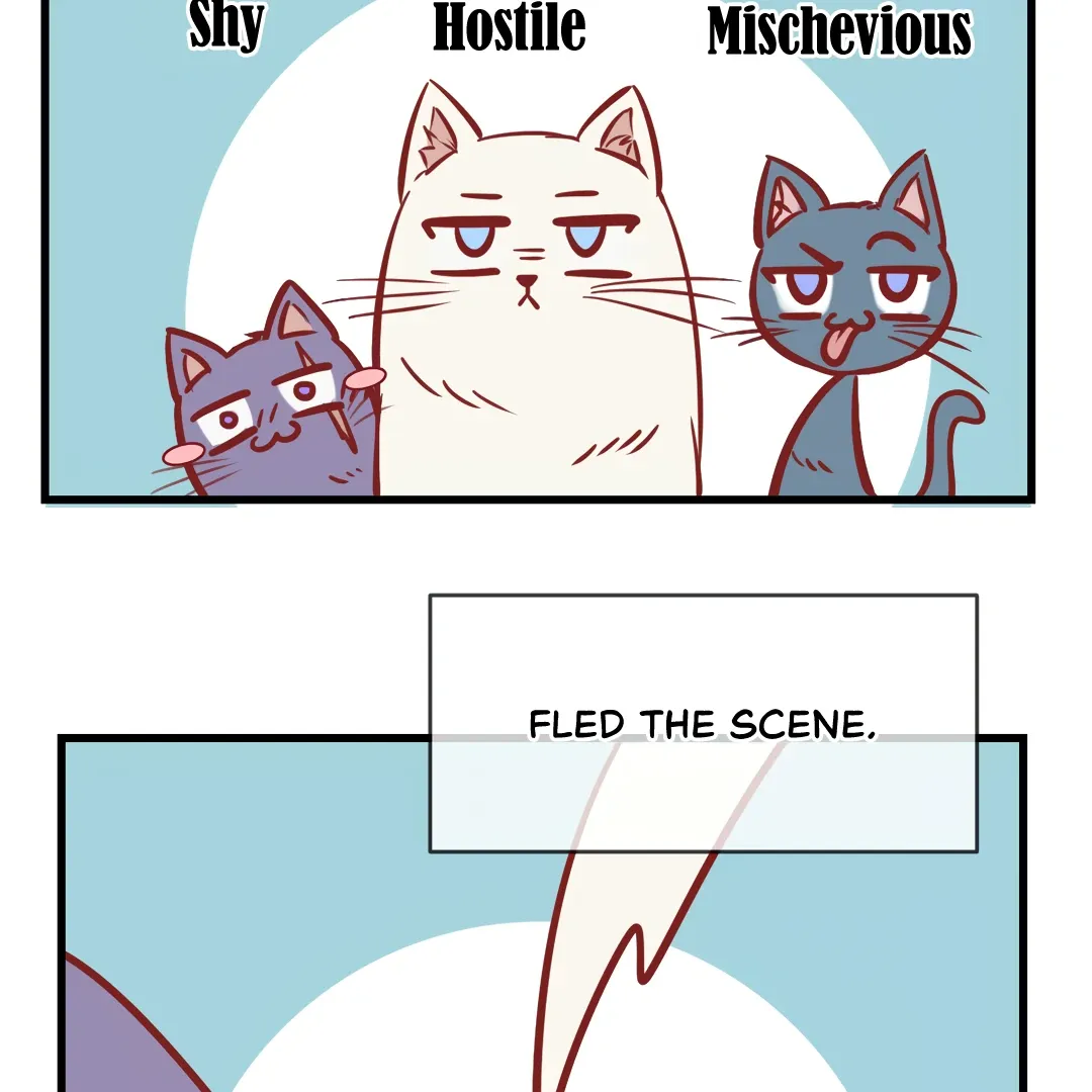 Read Kill My Love chapter 71.5 image 8 on Lezhin