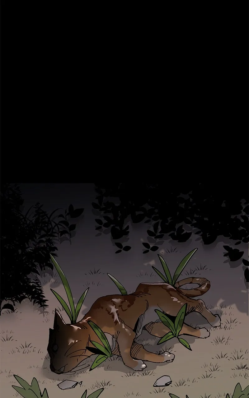 Read Kill to Live chapter 43 image 3 on Lezhin