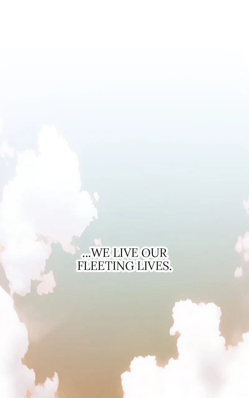 Read Kill to Live chapter 45 image 146 on Lezhin