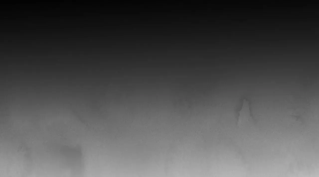 Read Killer or Saver chapter 49 image 77 on Lezhin