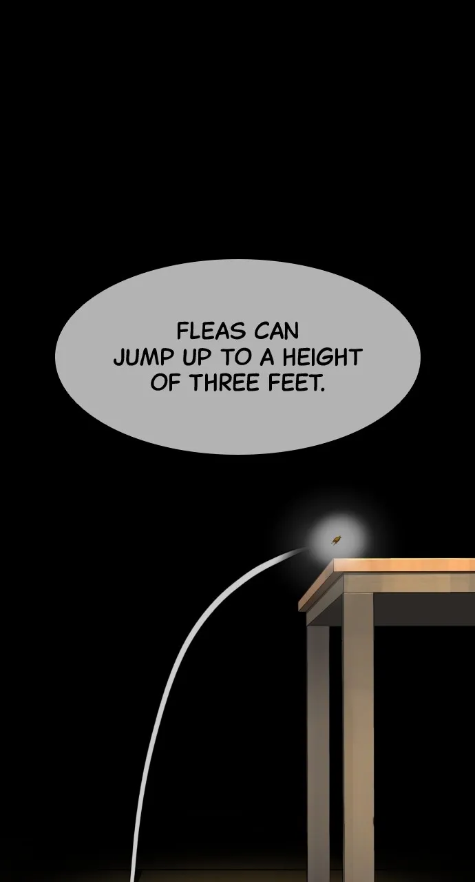 Read Killer Peter chapter 34 image 71 on Lezhin
