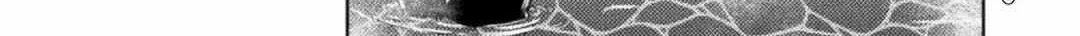 Read Killer Shark In Another World chapter 30 image 46 on Lezhin