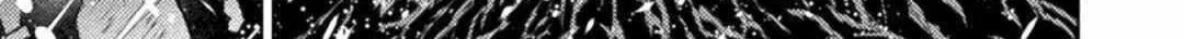Read Killer Shark In Another World chapter 30 image 58 on Lezhin