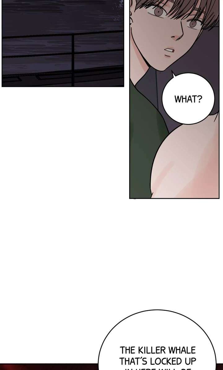 Read Killer Whale Protocol chapter 10 image 61 on Lezhin