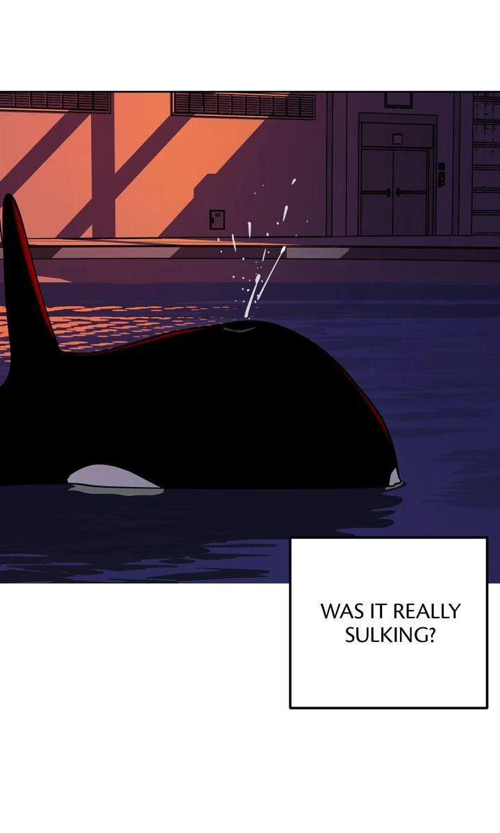 Read Killer Whale Protocol chapter 19 image 6 on Lezhin