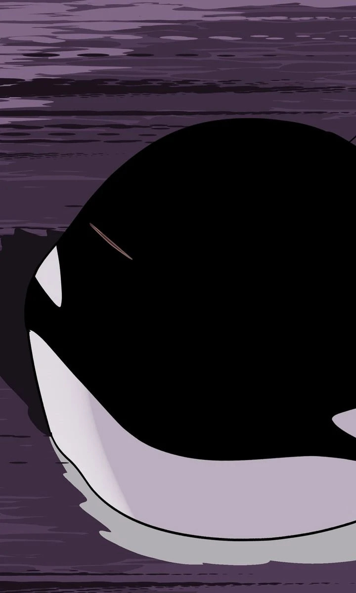 Read Killer Whale Protocol chapter 22 image 83 on Lezhin