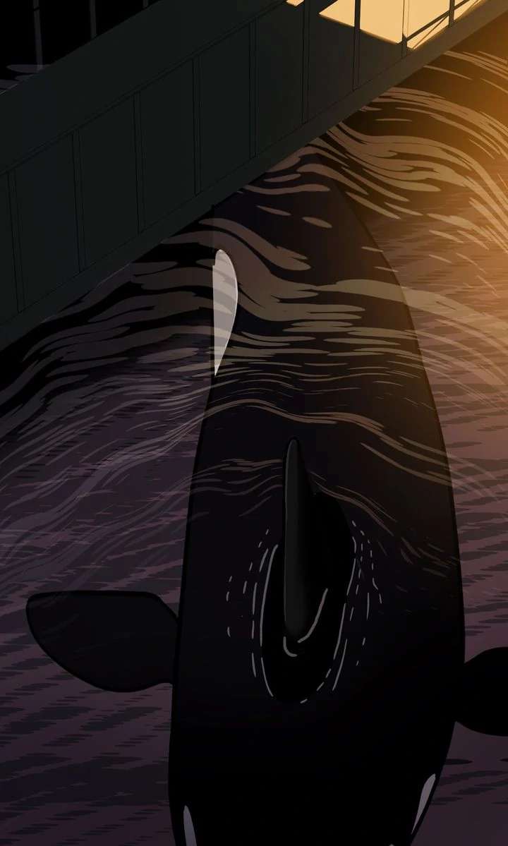 Read Killer Whale Protocol chapter 3 image 2 on Lezhin