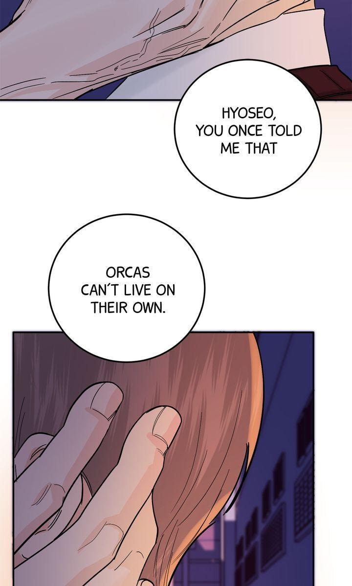 Read Killer Whale Protocol chapter 31 image 15 on Lezhin