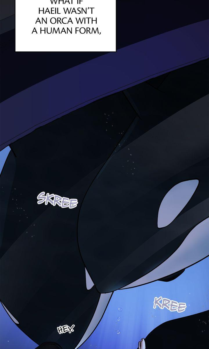 Read Killer Whale Protocol chapter 36 image 62 on Lezhin